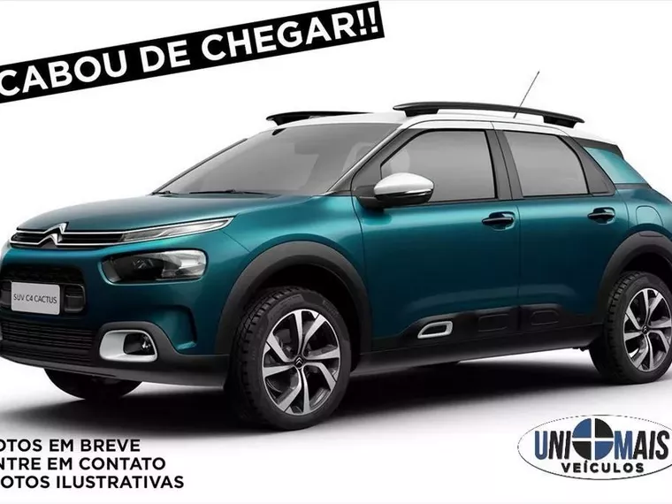 Citroën C4 Cactus Cinza 1