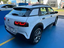 C4 Cactus