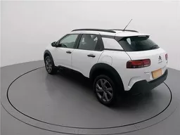 C4 Cactus