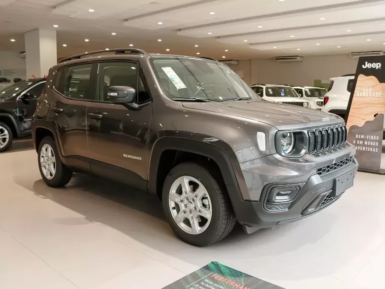 Jeep Renegade Cinza 16