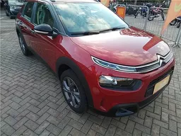 C4 Cactus