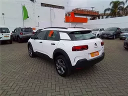 C4 Cactus