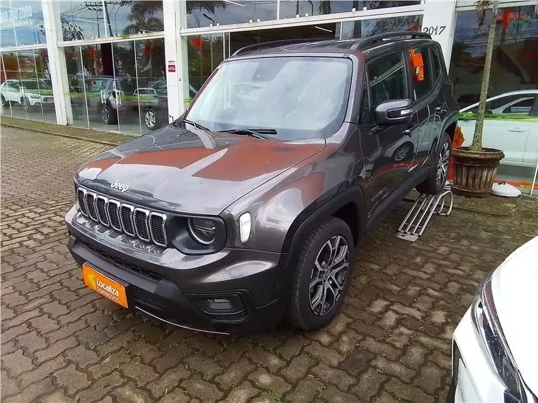 Jeep Renegade Cinza 6