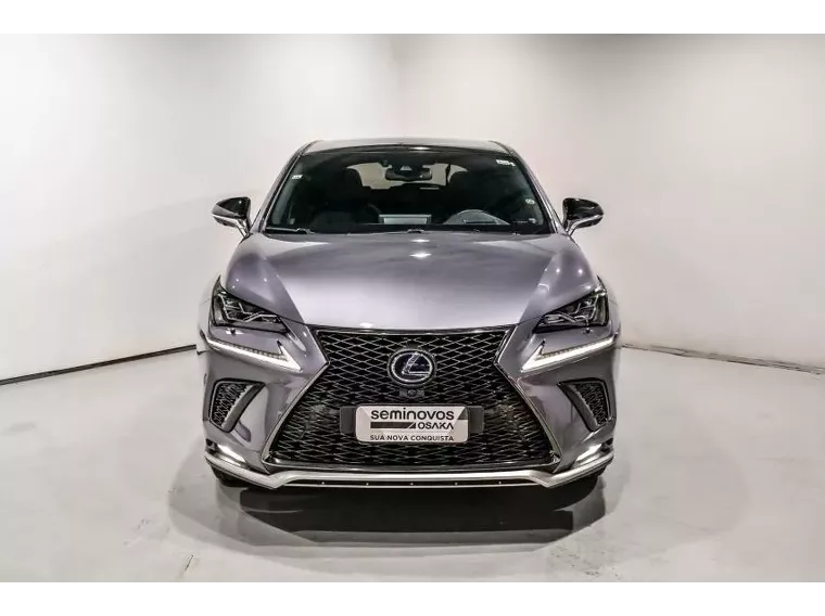 Lexus NX 300H Cinza 12