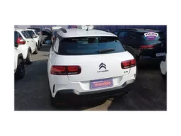 C4 Cactus