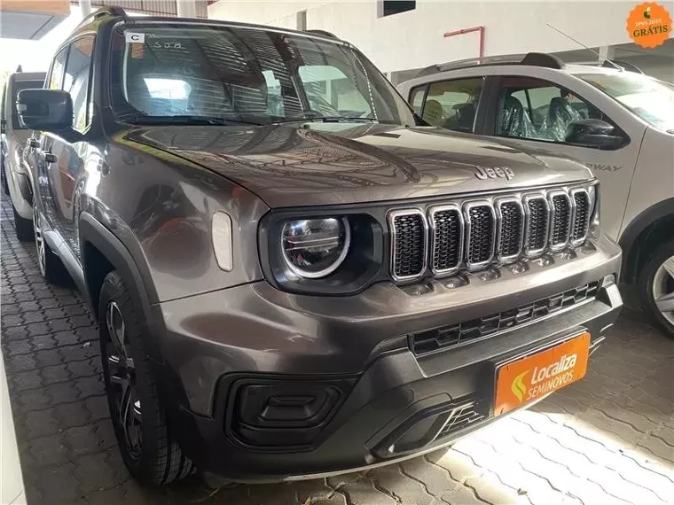 Jeep Renegade Cinza 3