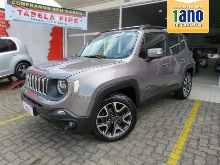 Jeep Renegade Cinza 1