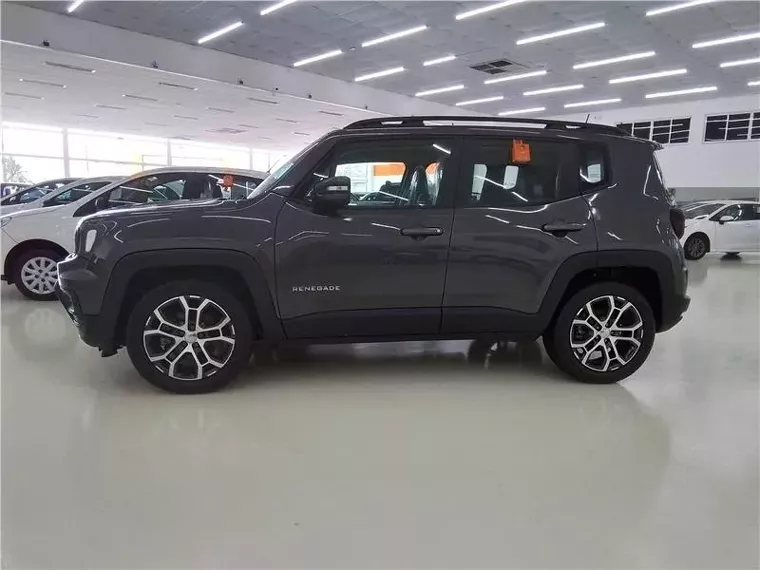 Jeep Renegade Cinza 8