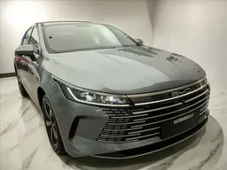BYD King