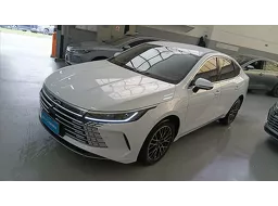 BYD King