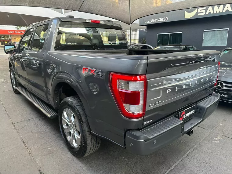 Ford F-150 Prata 19