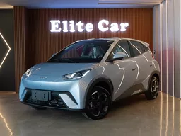 BYD Dolphin Mini