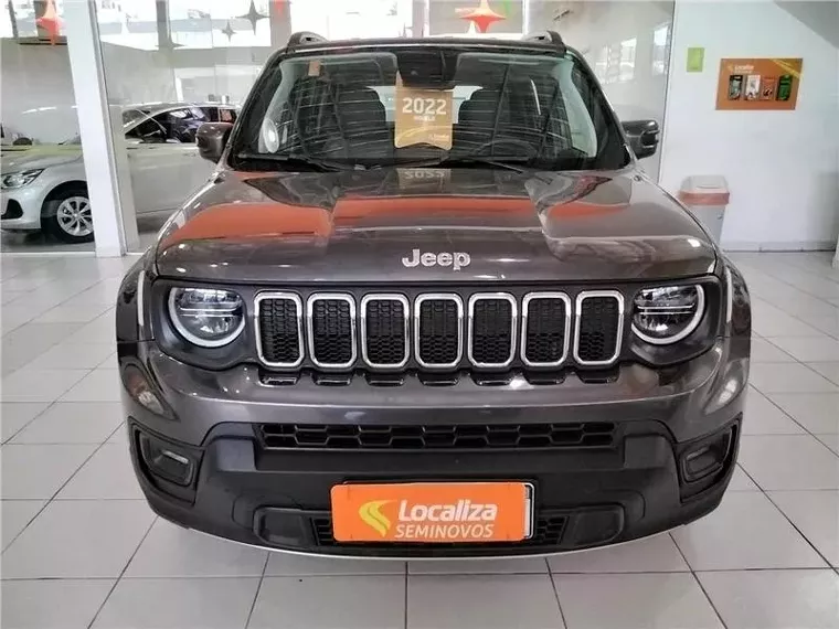 Jeep Renegade Cinza 1