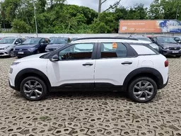 C4 Cactus