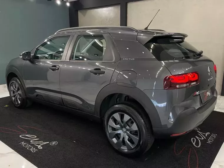 Citroën C4 Cactus Cinza 7