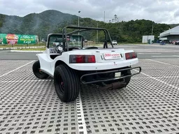 Fercar Buggy Naja One