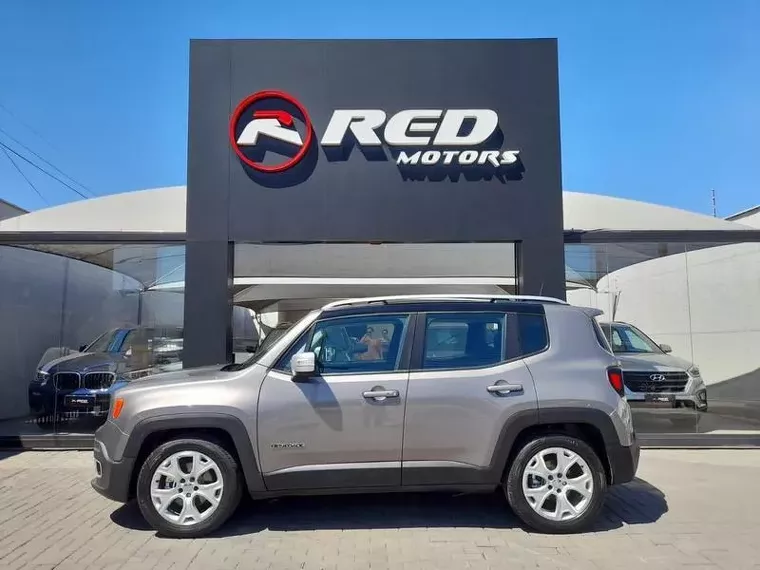 Jeep Renegade Cinza 8