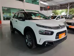 C4 Cactus