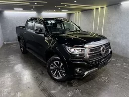 GWM Poer P30
