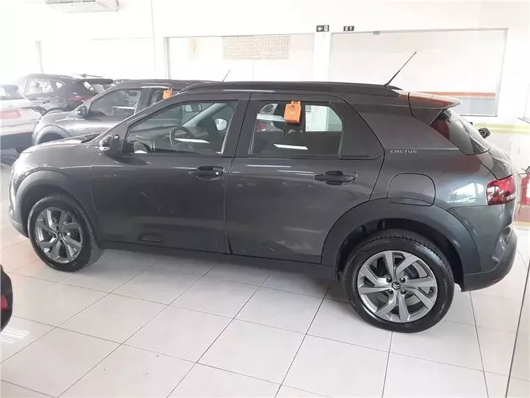 Citroën C4 Cactus Cinza 17