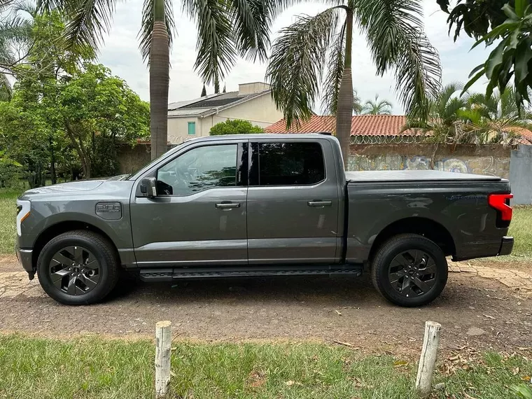 Ford F-150 Cinza 13