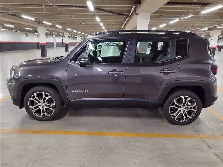 Jeep Renegade Cinza 1