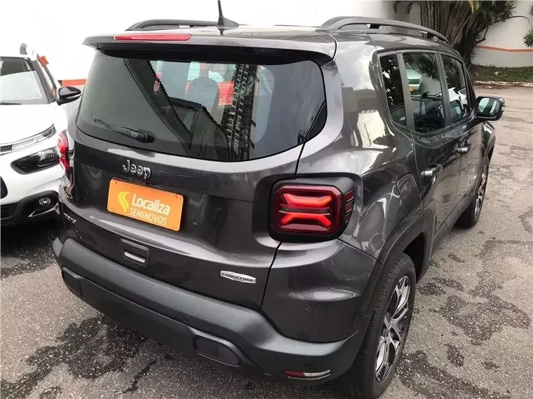 Jeep Renegade Cinza 2