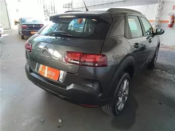 C4 Cactus