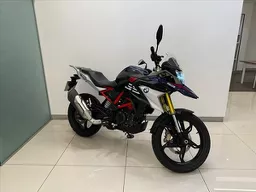 G 310 GS