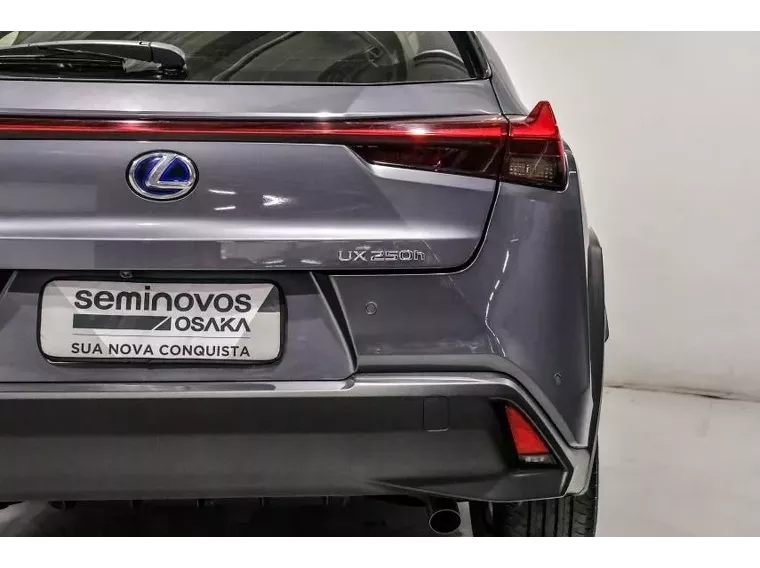 Lexus UX 250H Cinza 8