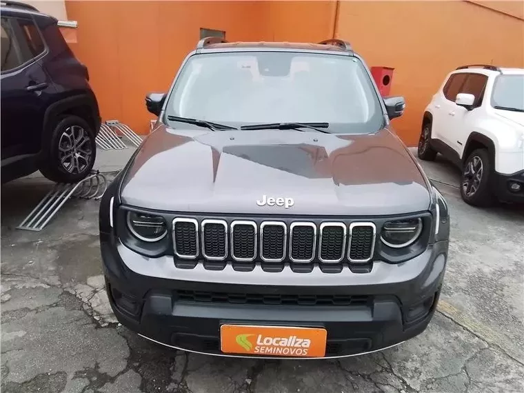 Jeep Renegade Cinza 7