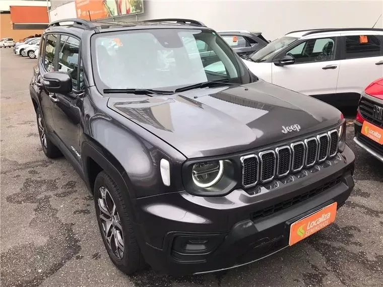 Jeep Renegade Cinza 9