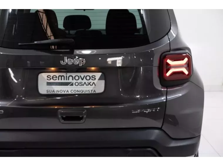 Jeep Renegade Cinza 9