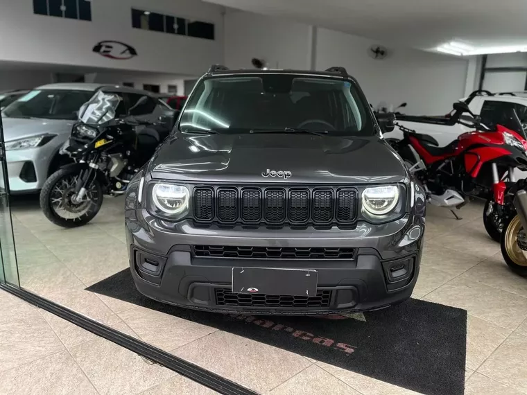 Jeep Renegade Cinza 2