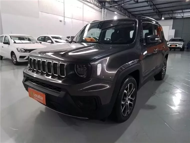 Jeep Renegade Cinza 9