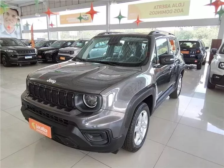 Jeep Renegade Cinza 8