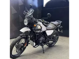 Himalayan