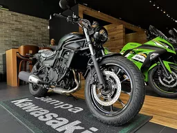 Eliminator 500