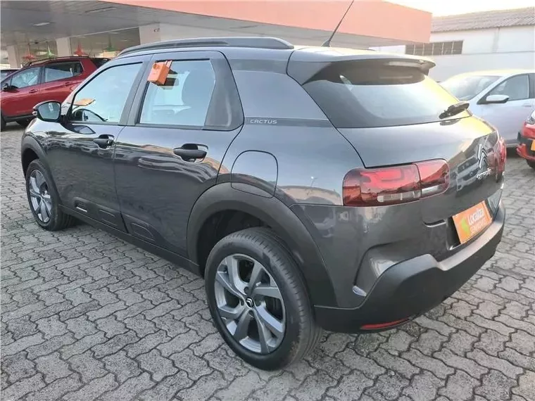 Citroën C4 Cactus Cinza 14