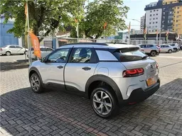 C4 Cactus