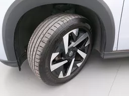 Volkswagen Tera
