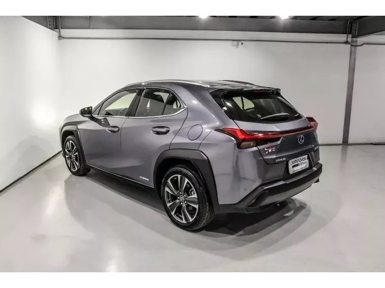 Lexus UX 250H Cinza 1