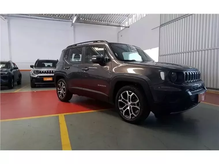 Jeep Renegade Cinza 5