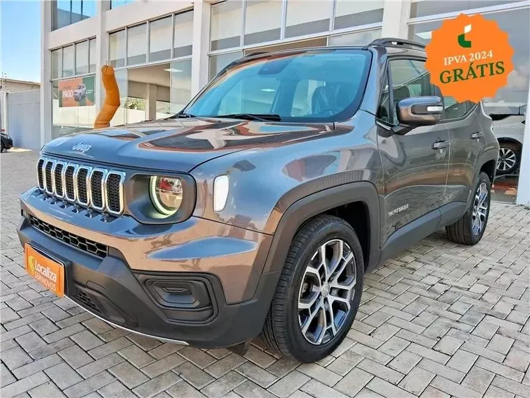 Jeep Renegade Cinza 1