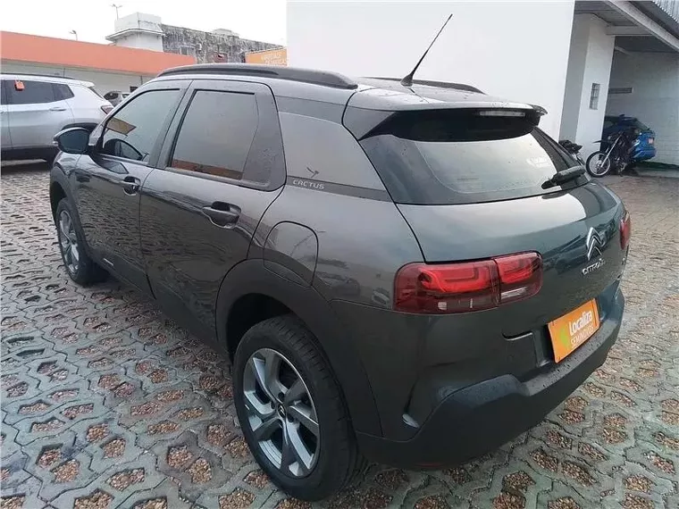 Citroën C4 Cactus Cinza 2