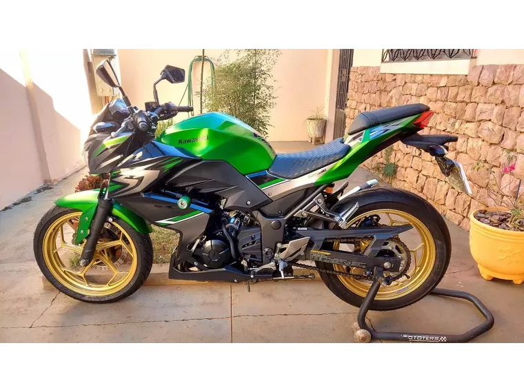 Kawasaki Z Verde 1