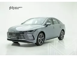BYD King