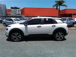 C4 Cactus