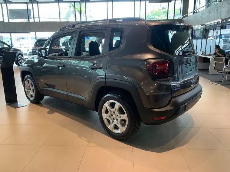 Jeep Renegade Cinza 1