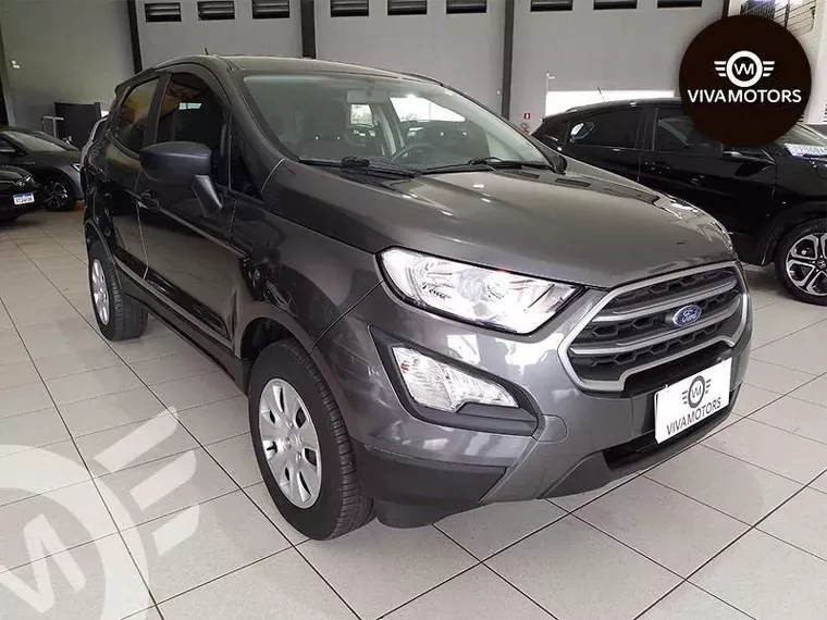 Ford Ecosport Cinza 9